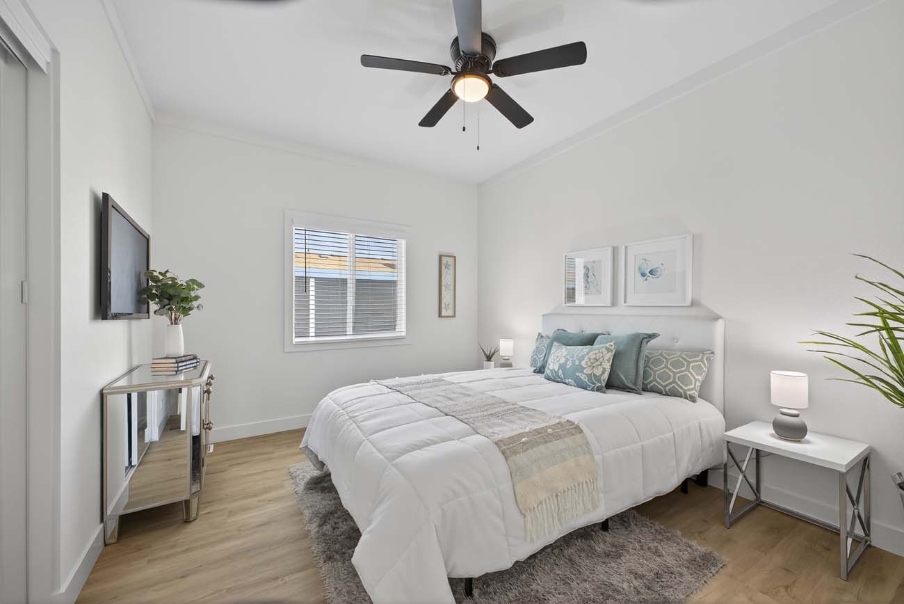 Bright bedroom with wall-mounted television, ceiling fan, and two windows